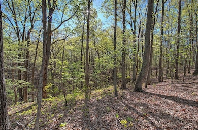 0 Mckibben Rd unit 210, Buchanan, GA 30113 - photo 7