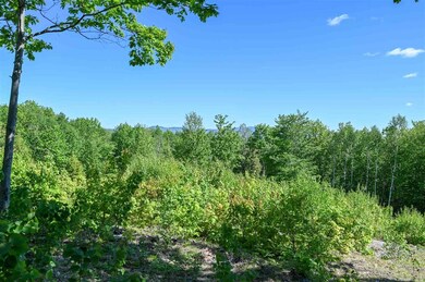 Lot 13 Mountain Vista Dr unit 13, New Hampton, NH 03256 - photo 6