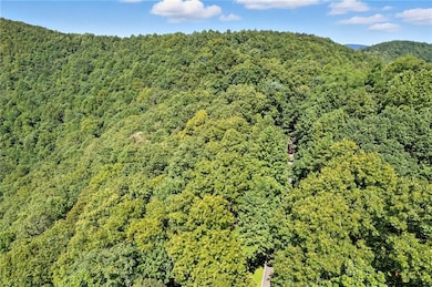 1207 Deer Run Ridge, Jasper, GA 30143 - photo 5