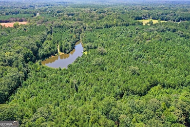 0 Macedonia Rd unit 10587744, Newnan, GA 30263 - photo 7