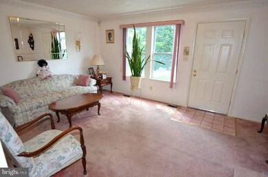 29 Cobber Ln, Baltimore, MD 21229 - photo 6