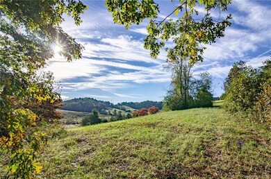 9999 Highcrest Dr, Leicester, NC 28748 - photo 4