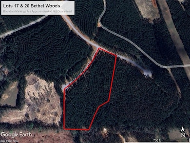 6.6 Acres Caro Ln, Franklinton, LA 70438 - photo 3