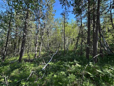 TBD Rocky Point Rd unit TBD Rocky Point Road, Lead, SD 57754 - photo 7