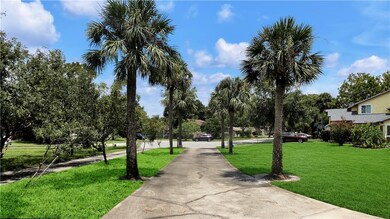 Oversized QUARTER ACRE LOT with Palm-Lined Drivewa