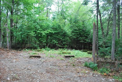 Lot 18 Moose Run Rd, Wellington, ME 04942 - photo 3