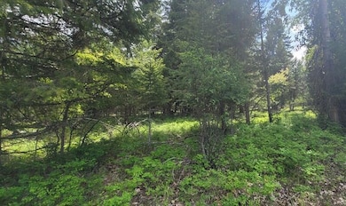 Tbd, Lot 2 Parmenter Rd, Libby, MT 59923 - photo 3
