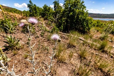 2_Land-Lot_high_3709447