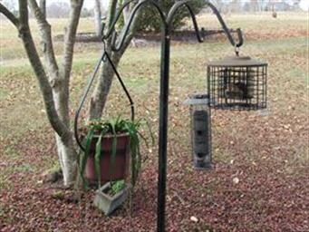 Enjoy watching the birds.