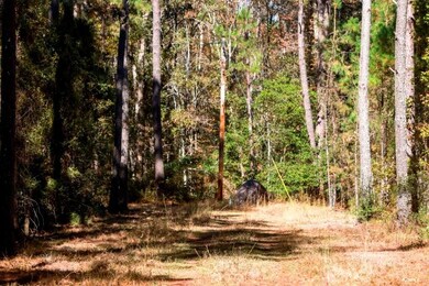 0 Anderson Rd unit 25641559, Statesboro, GA 30458 - photo 3