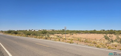 000 Hwy 418 SW, Deming, NM 88030 - photo 3