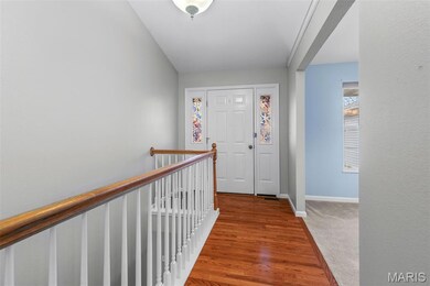 3203 Cole Meadows Ct, Festus, MO 63028 - photo 6