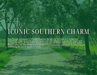 Lot 33 Reserve at Hammock Bay, Freeport, FL 32439 - photo 2