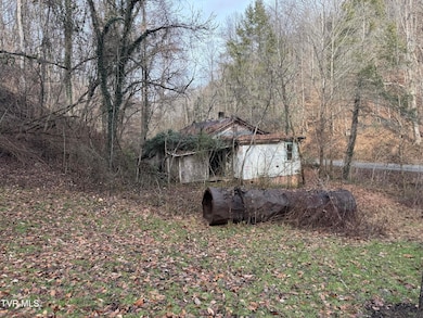 3713 Manville Rd, Gate City, VA 24251 - photo 6