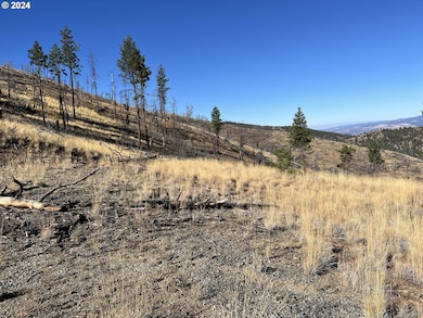 25422 Baldy Mountain Rd, Johnday, OR 97845 - photo 3