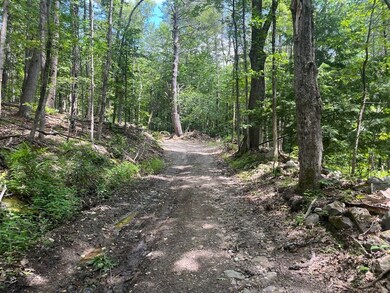 60 Pound Rd, Sanbornton, NH 03269 - photo 4