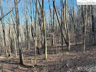 TBD Wolfsbane Trail, Todd, NC 28684 - photo 6