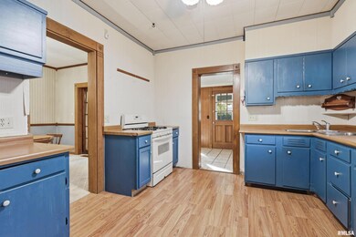 1322 27th Ave, Moline, IL 61265 - photo 6