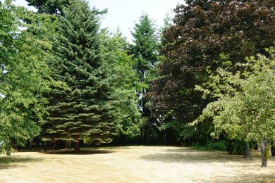 3018 S 224th St, Des Moines, WA 98198 - photo 3