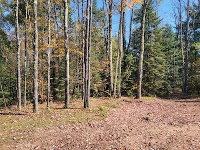 3789W W Indian Way Rd, Draper, WI 54896 - photo 2