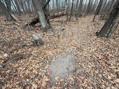 32294 93rd St, Pierz, MN 56364 - photo 7