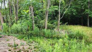 Rte. 59 Smethport Ormsby Rd., Smethport