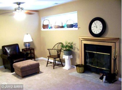 8011 Greenspring Way unit B, Owings Mills, MD 21117 - photo 5