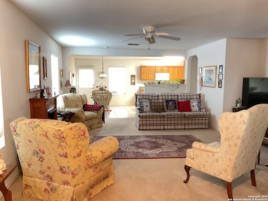 3431 Ironwood Falls, San Antonio, TX 78261 - photo 3