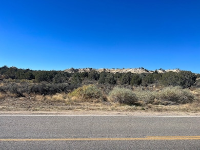 0 New Mexico 574, Aztec, NM 87410 - photo 2