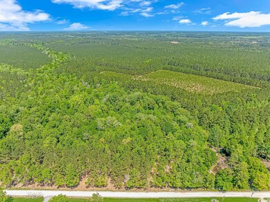 TBD Tranquil Rd unit Lot 3, Conway, SC 29527 - photo 7