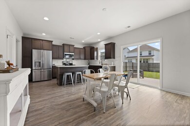 258 Weeping Cypress Dr, Moncks Corner, SC 29461 - photo 5