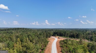 2 Emmaus Dr, Elberton, GA 30635 - photo 4