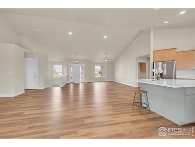 3643 Crested Owl Ct, Dacono, CO 80514 - photo 5