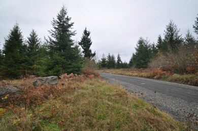 8 Thimbleberry Ln SE, Yelm, WA 98597 - photo 3