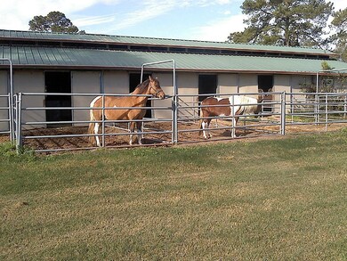 23813 Murrell Rd, Hockley, TX 77447 - photo 5