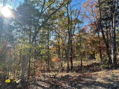 108 Calvey Estates Dr, Robertsville, MO 63072 - photo 4