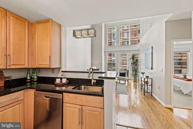 Silverton Condominiums, Silver Spring, MD 20910 - photo 7