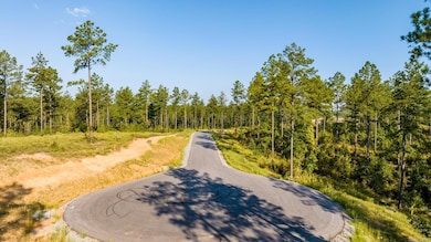 0000 Grandview Dr, Benton, AR 72019 - photo 5