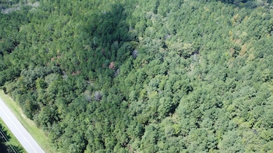 0 Twin Bridges Rd unit 11579160, Eatonton, GA 31024 - photo 6