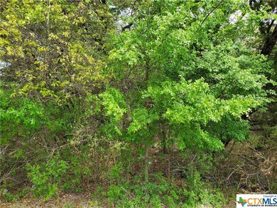 13172 Harbor Dr, Temple, TX 76502 - photo 3