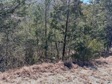 15 Mohawk Ln unit 12, Holiday Island, AR 72631 - photo 3