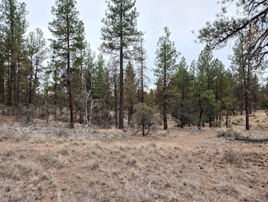0 Arrowhead Ln unit Lot 20, Chiloquin, OR 97639 - photo 2