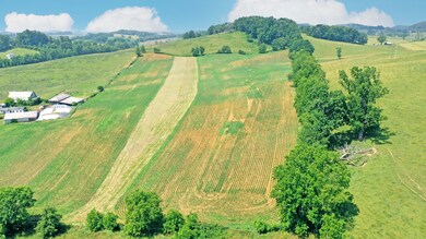 DJI_0485