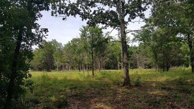 Lot 84 Riner Rd, Pottsboro, TX 75076 - photo 4