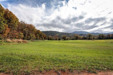 0 Log Cabin Dr unit 623902, Stanley, VA 22851 - photo 6