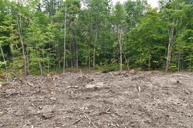 0 Peacham Rd unit 26-2 4829111, Barnstead, NH 03225 - photo 7