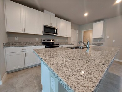 3330 Fresno Place, Zephyrhills, FL 33541 - photo 5