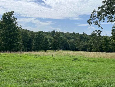 385 Walnut Grove Cir, Mammoth Spring, AR 72554 - photo 6