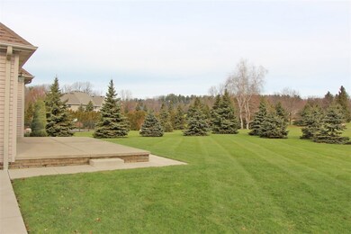Back Yard with Colorado Blue Spruce