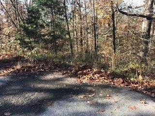 -- Boswell Cir, Bella Vista, AR 72715 - photo 2